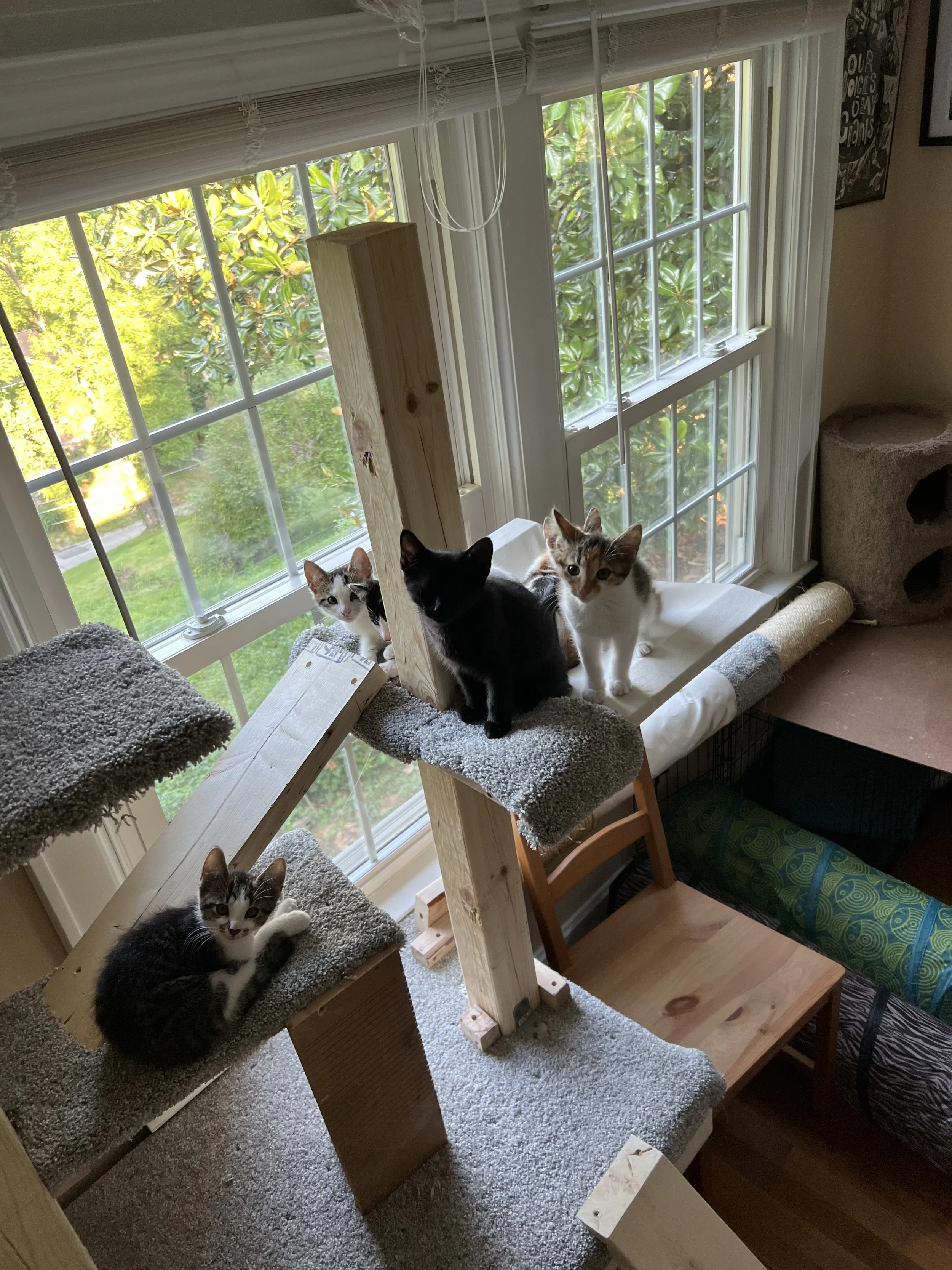 Everybody seems to enjoy the tree I made