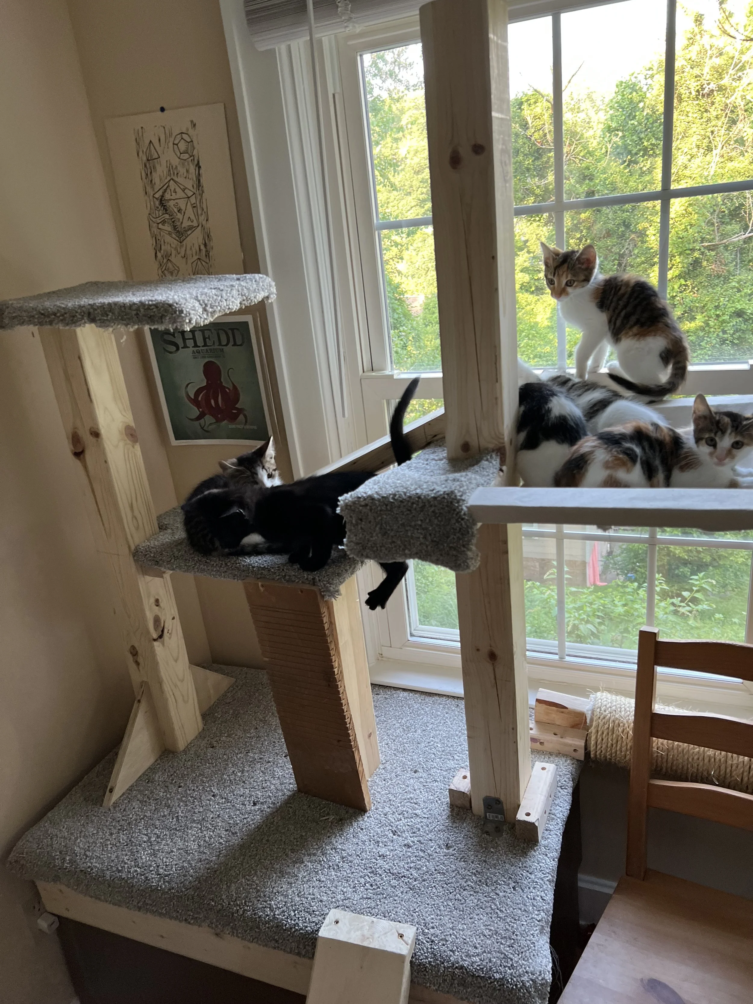IMG_1839.jpeg