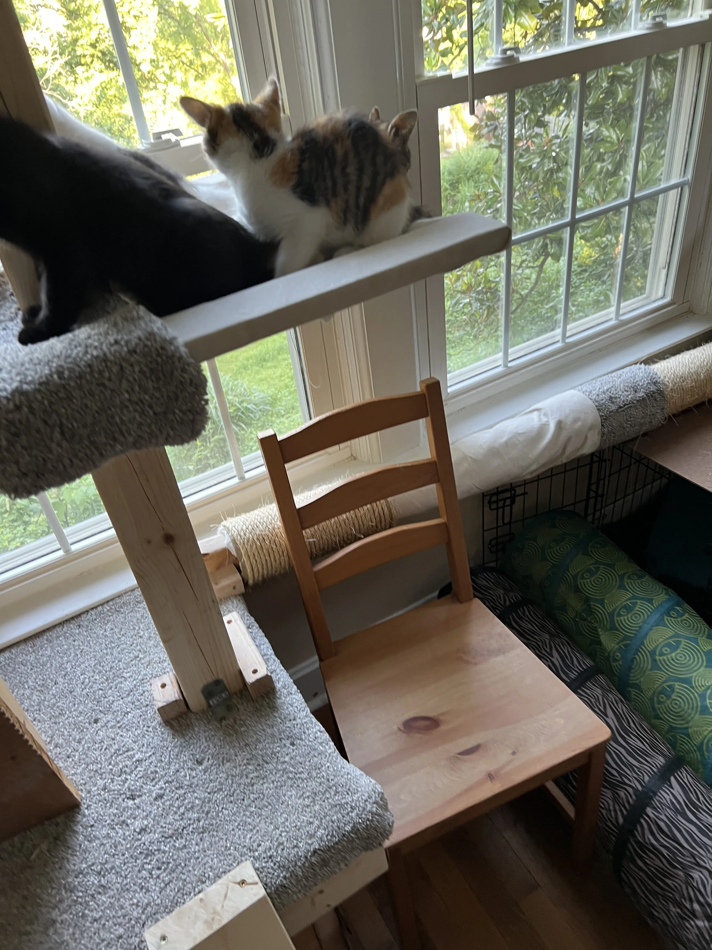 IMG_1835.jpeg