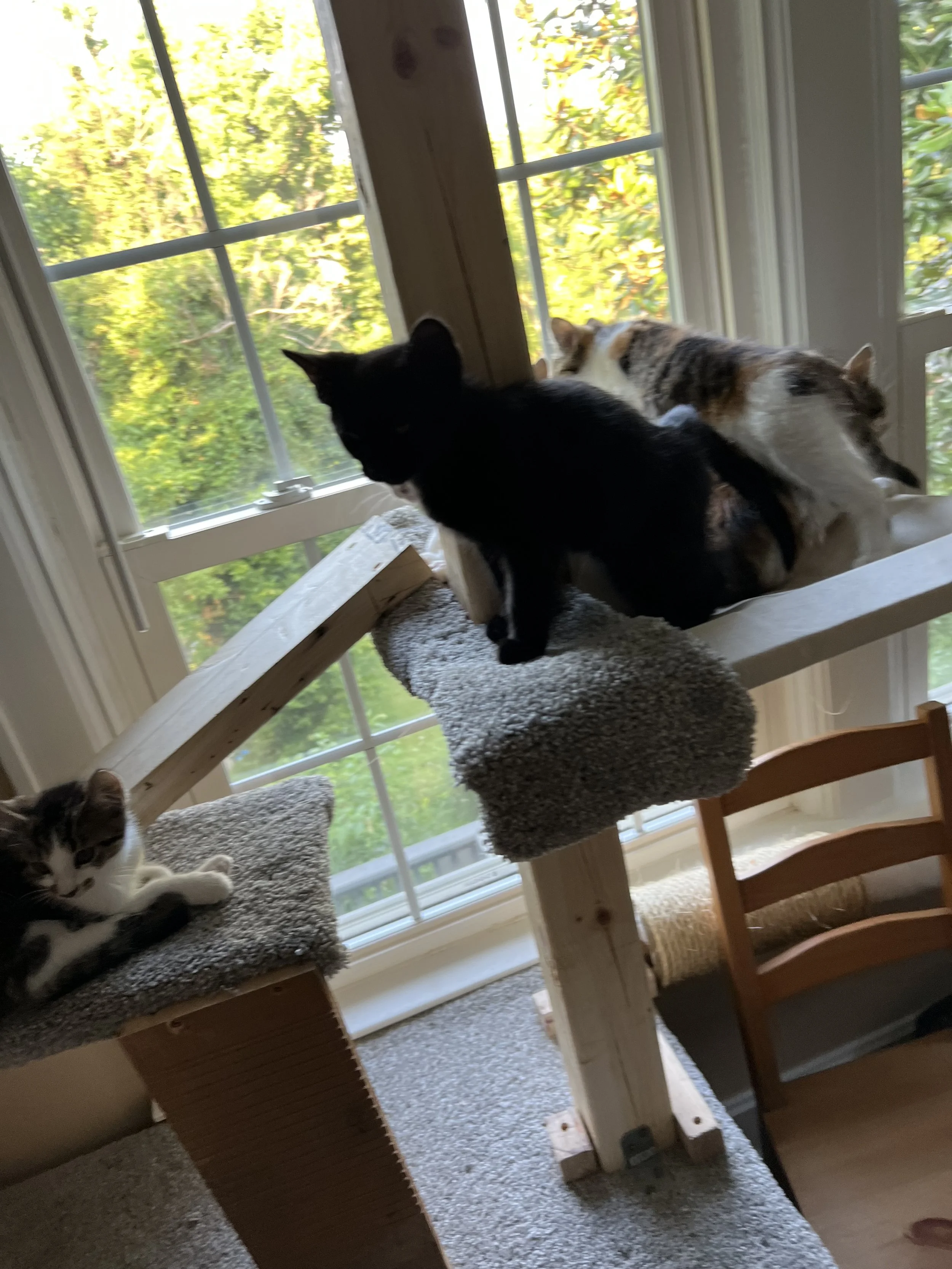 IMG_1836.jpeg