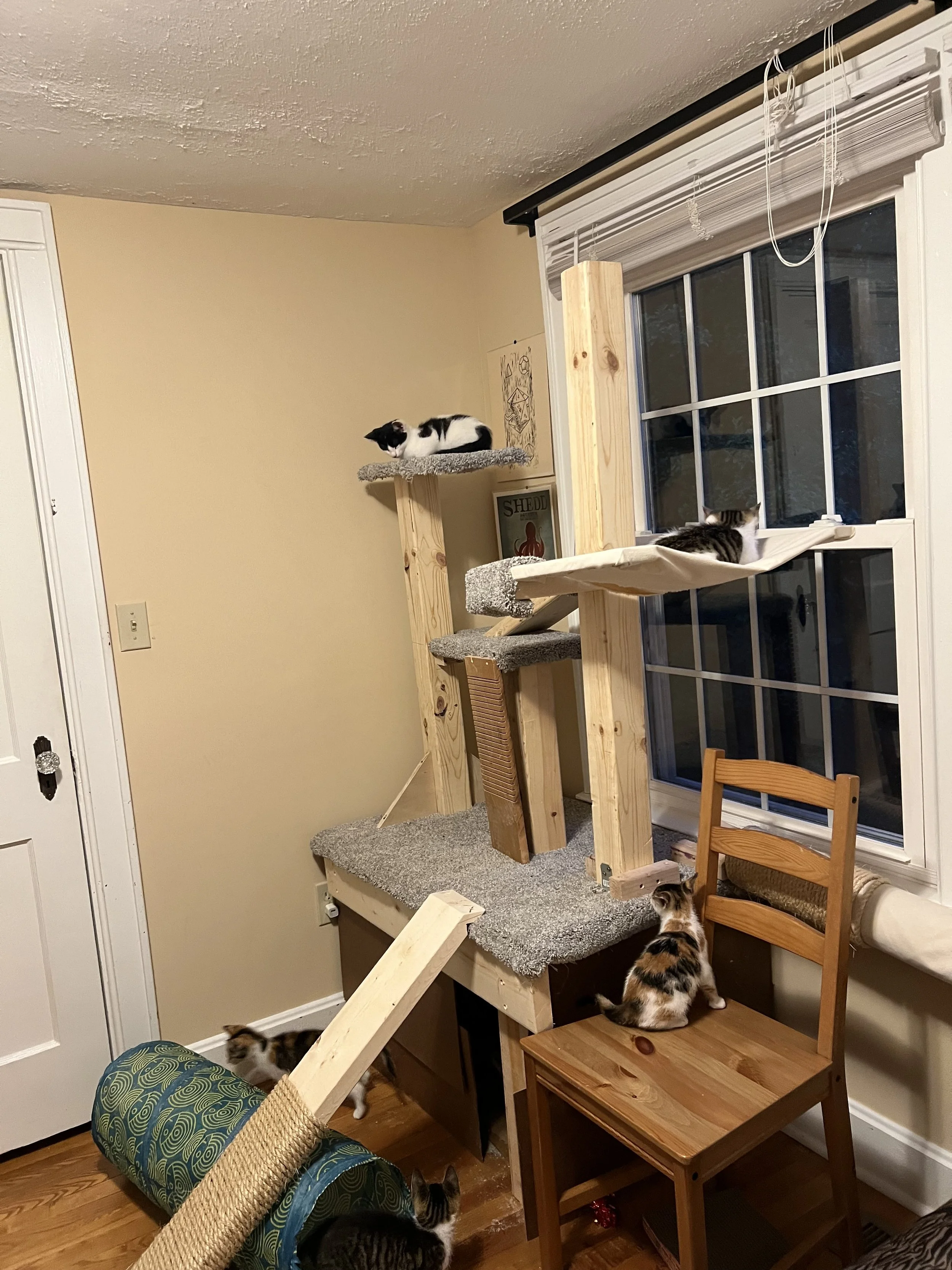 IMG_1794.jpeg