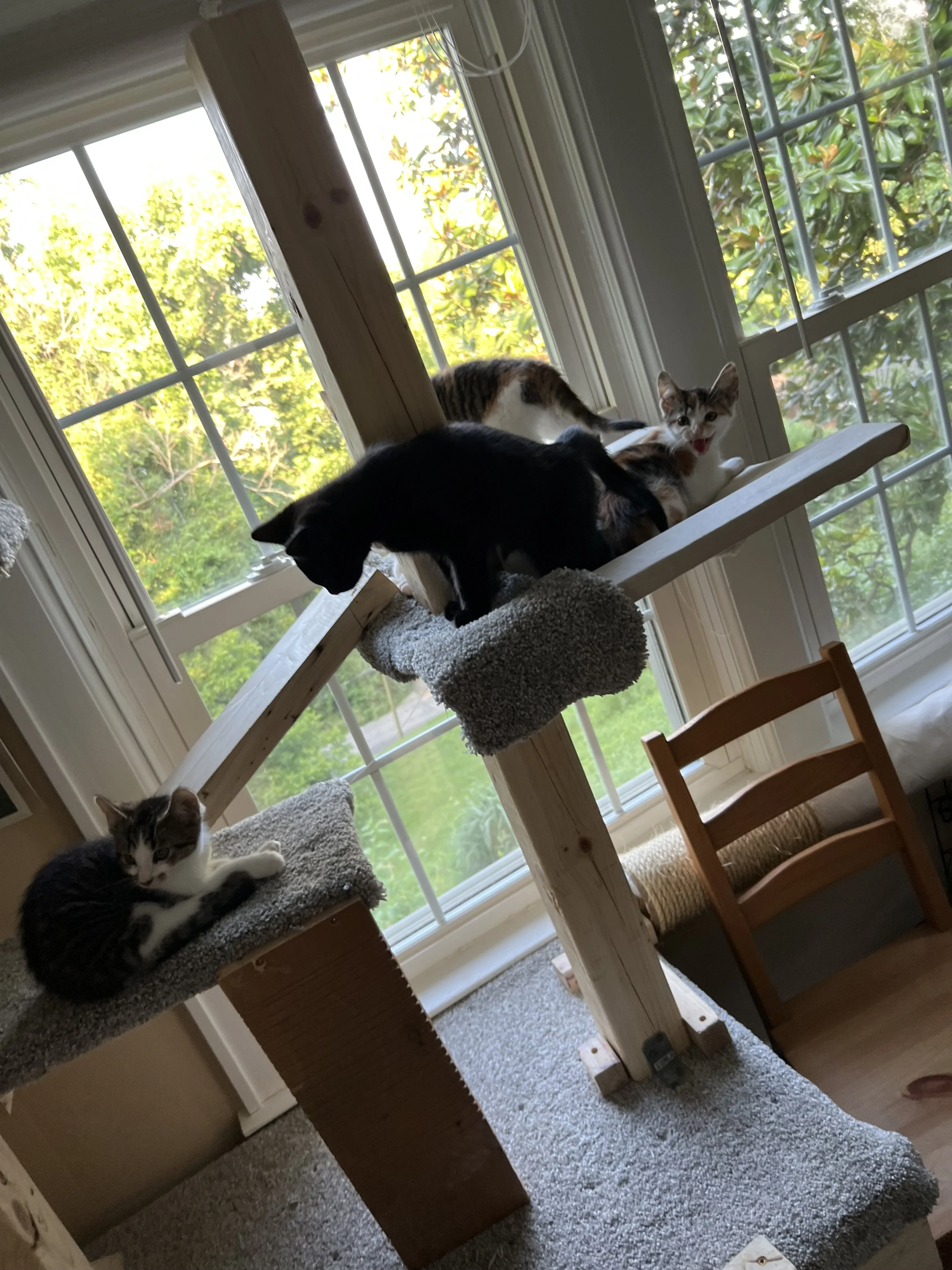 IMG_1837.jpeg