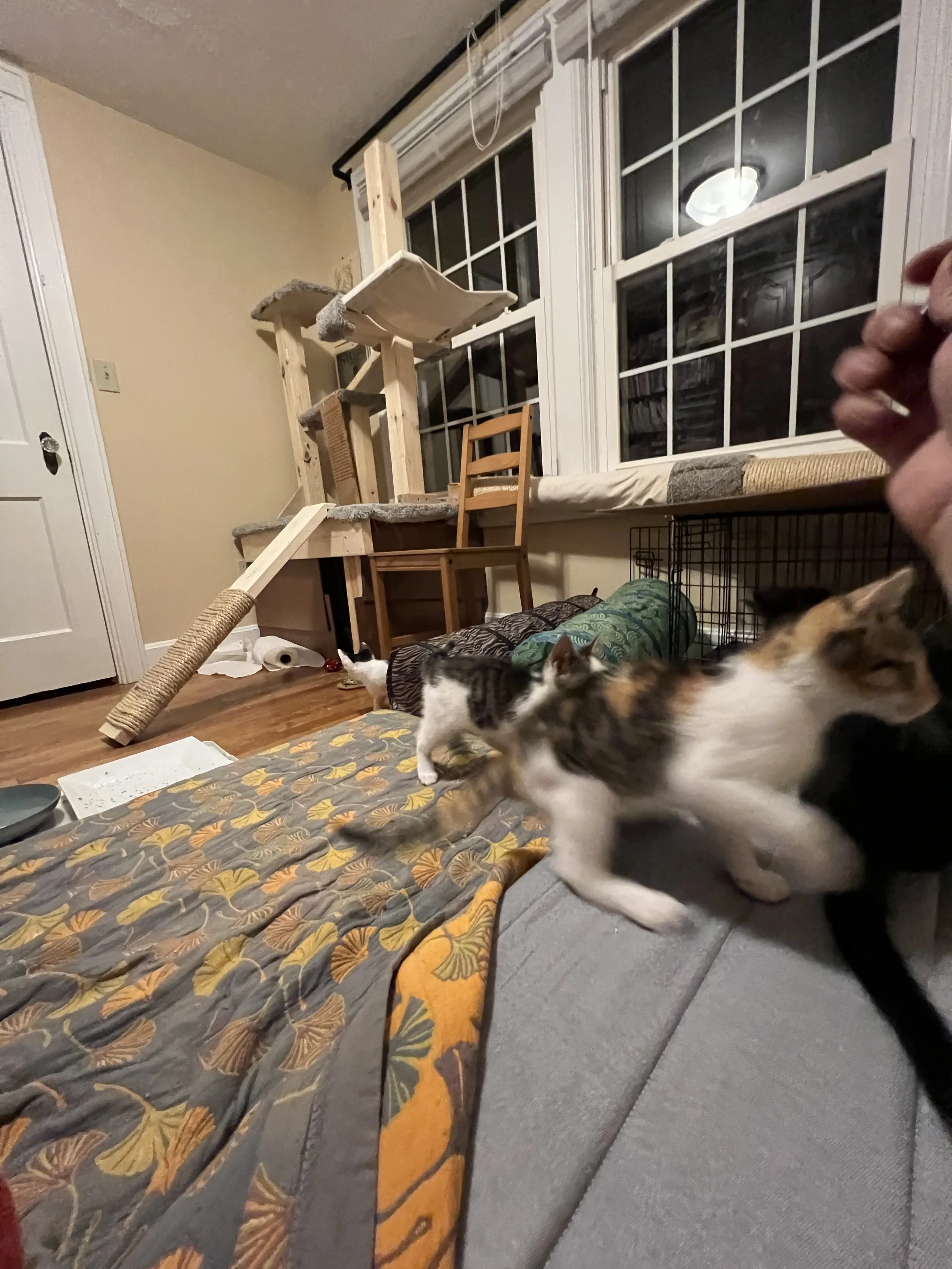 IMG_1808.jpeg