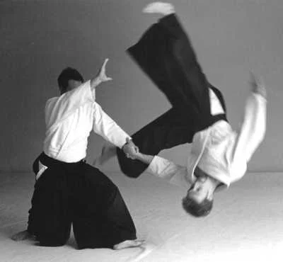 aikido3.jpg