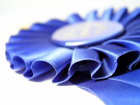 blue-ribbon_Snapseed.jpg