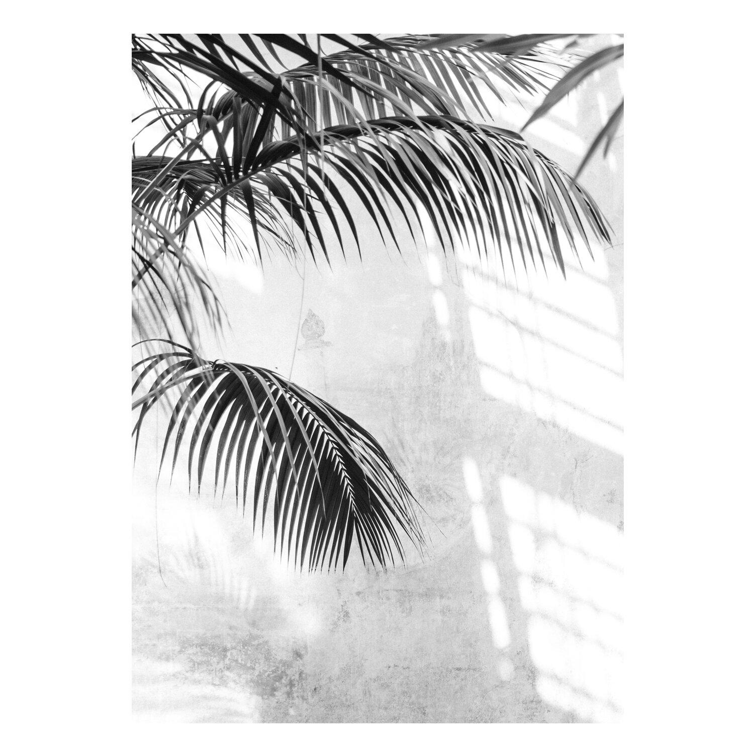 palms2.jpg