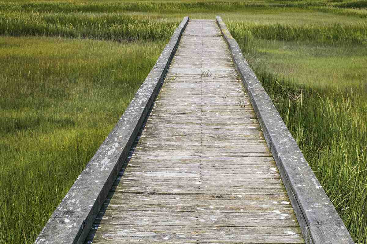 Board Walk to Nowhere