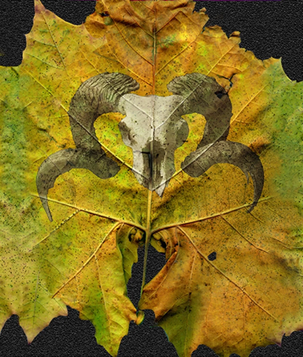 Leaf & Skull