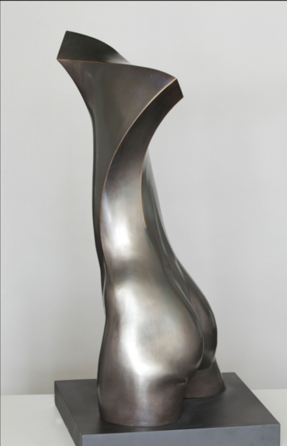 Twisting Torso