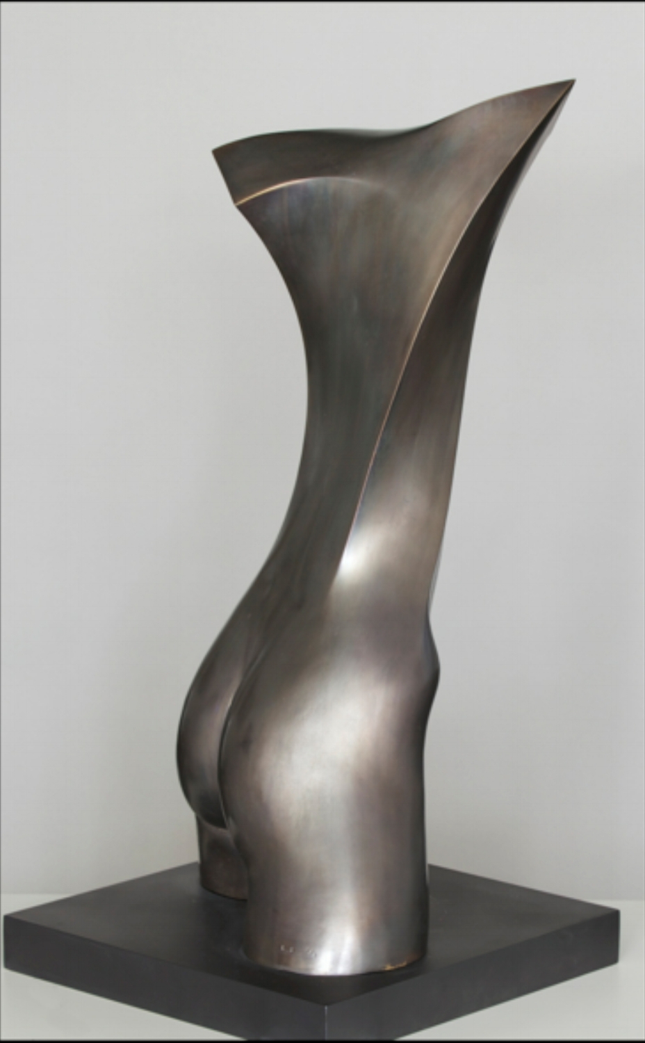 Twisting Torso