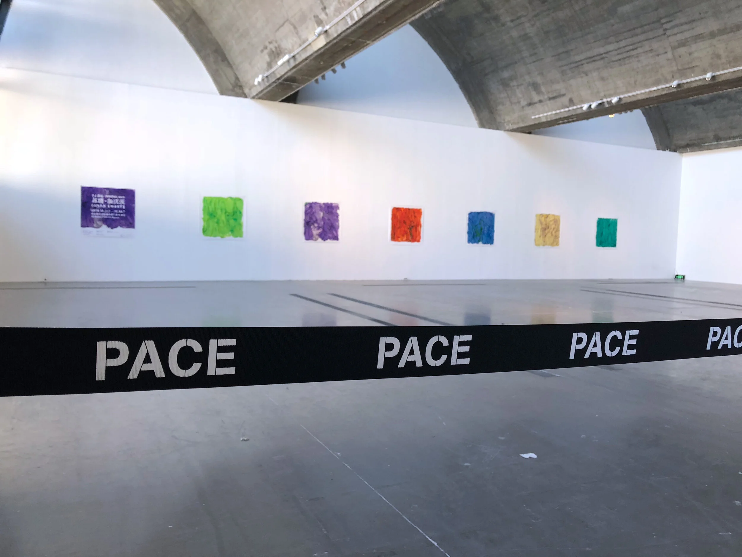Reception at PACE Gallery, Beijing