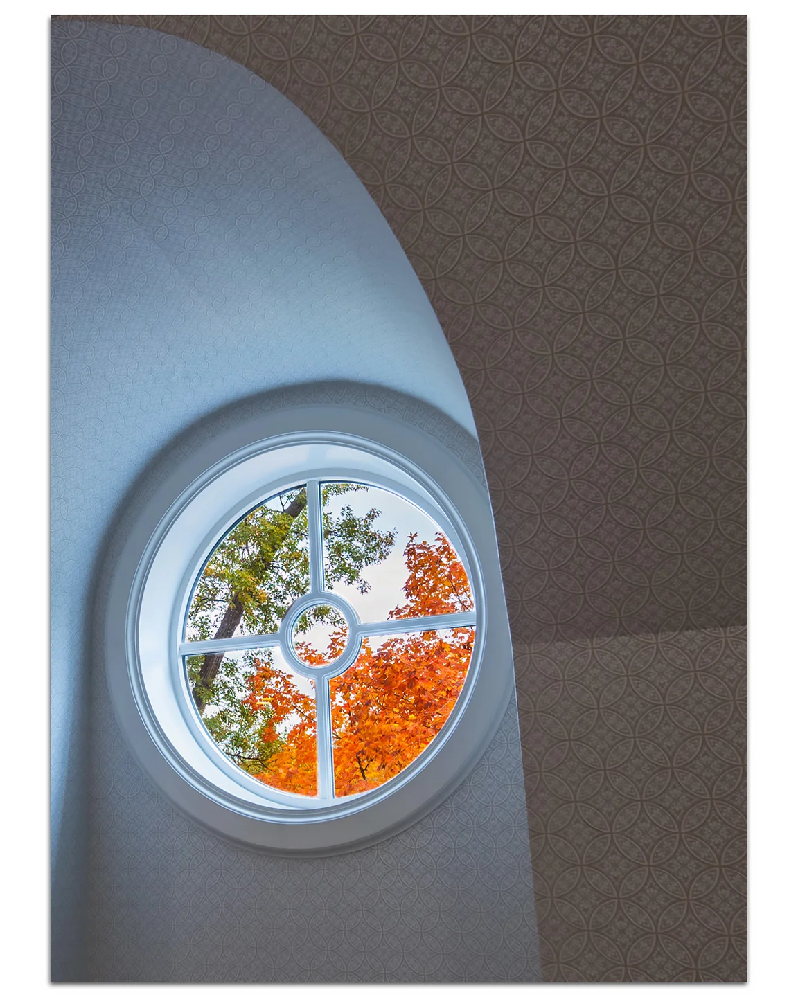 Window.jpg