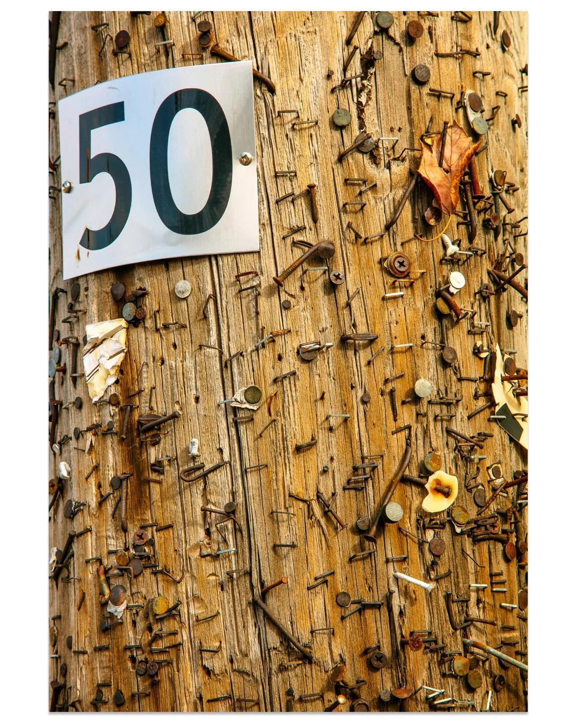 Flypost02.jpg
