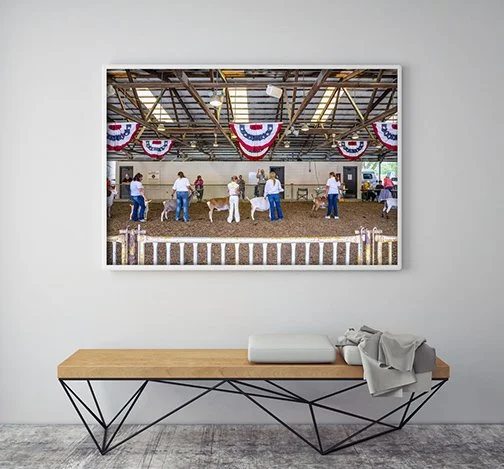 GoatShowRoom.jpg