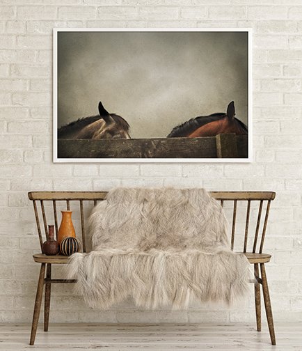 HorsesInRoom.jpg