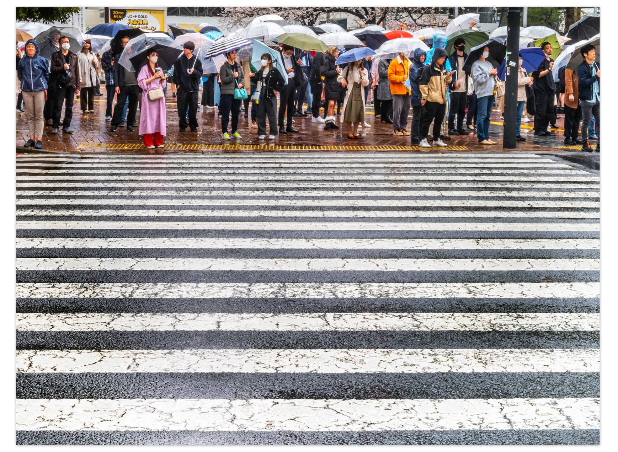 ShibuyaCrossing.jpg
