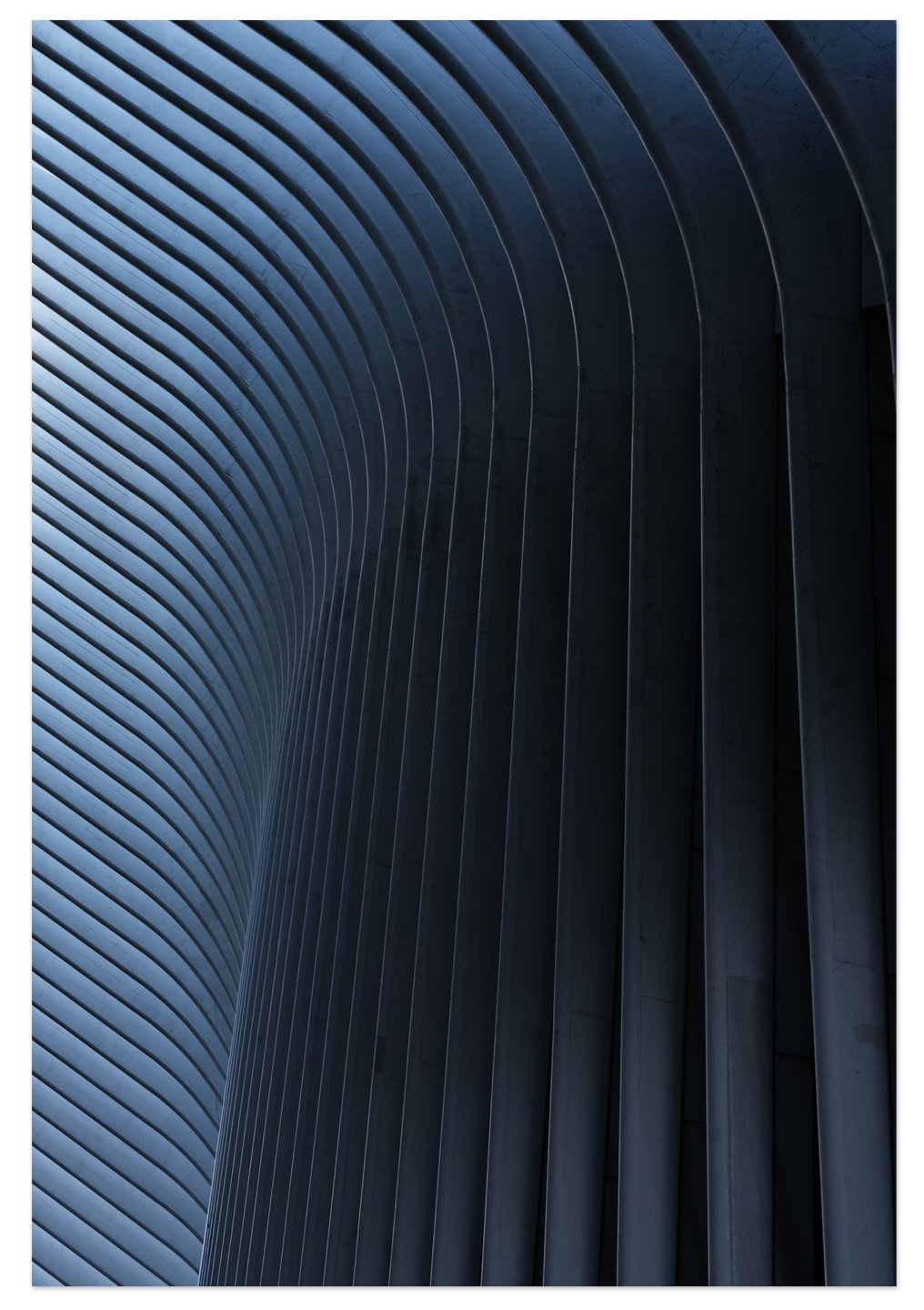 OculusNYC.jpg