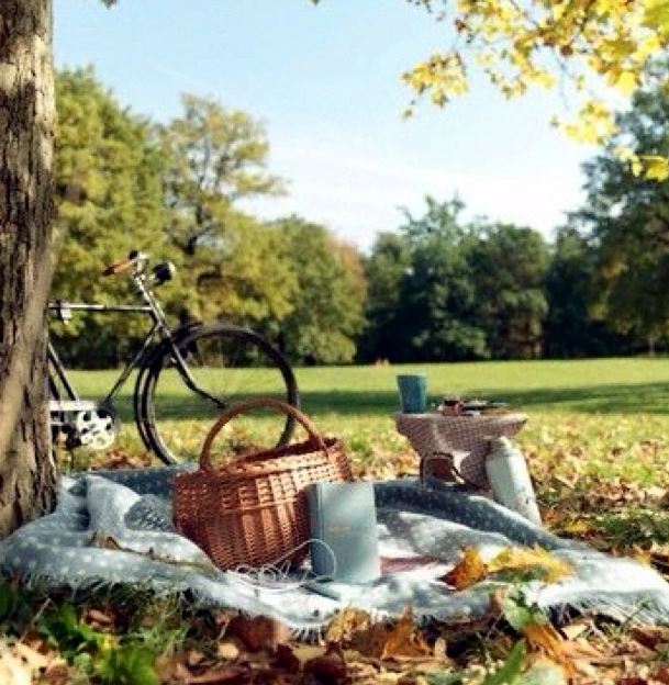 ARTICLE: 22 Summery, Serene Picnic Ideas 