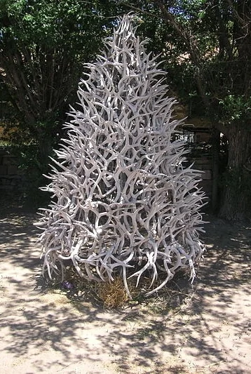 These Christmas trees really are extraordinary!