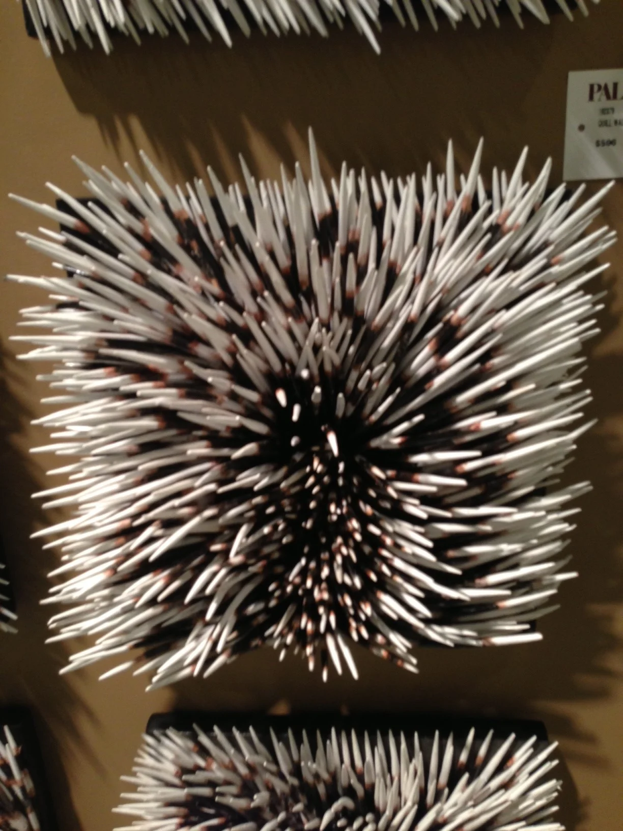 Porcupine by Palacek. | #LVmkt, best, home, decor, furniture, interior design