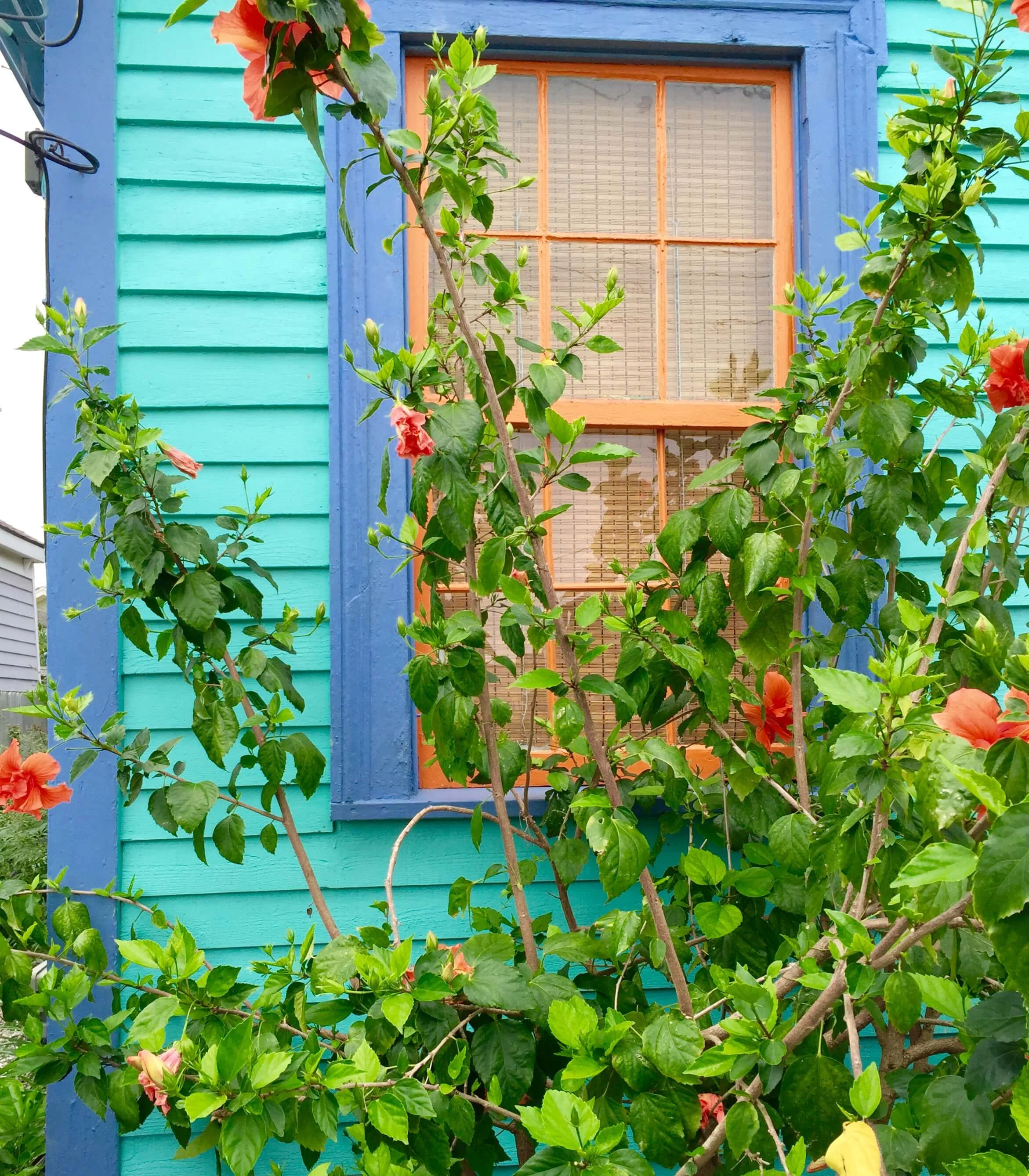 Wallpaper Must See This Charming Historic Cottage In Galveston Texas For Free