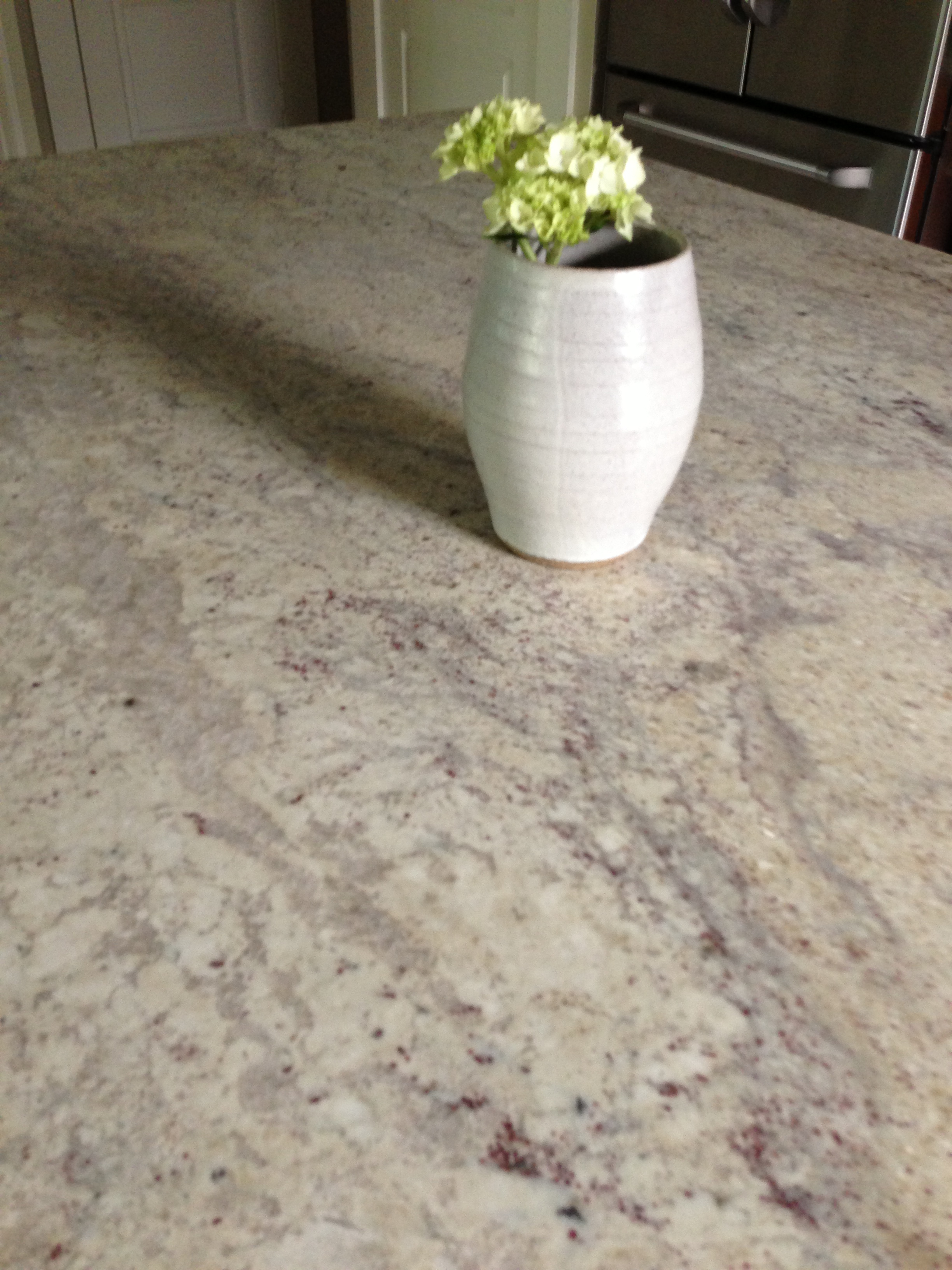 Kashmire White Granite in honed finish, Kitchen Remodel - Carla Aston, Designer
