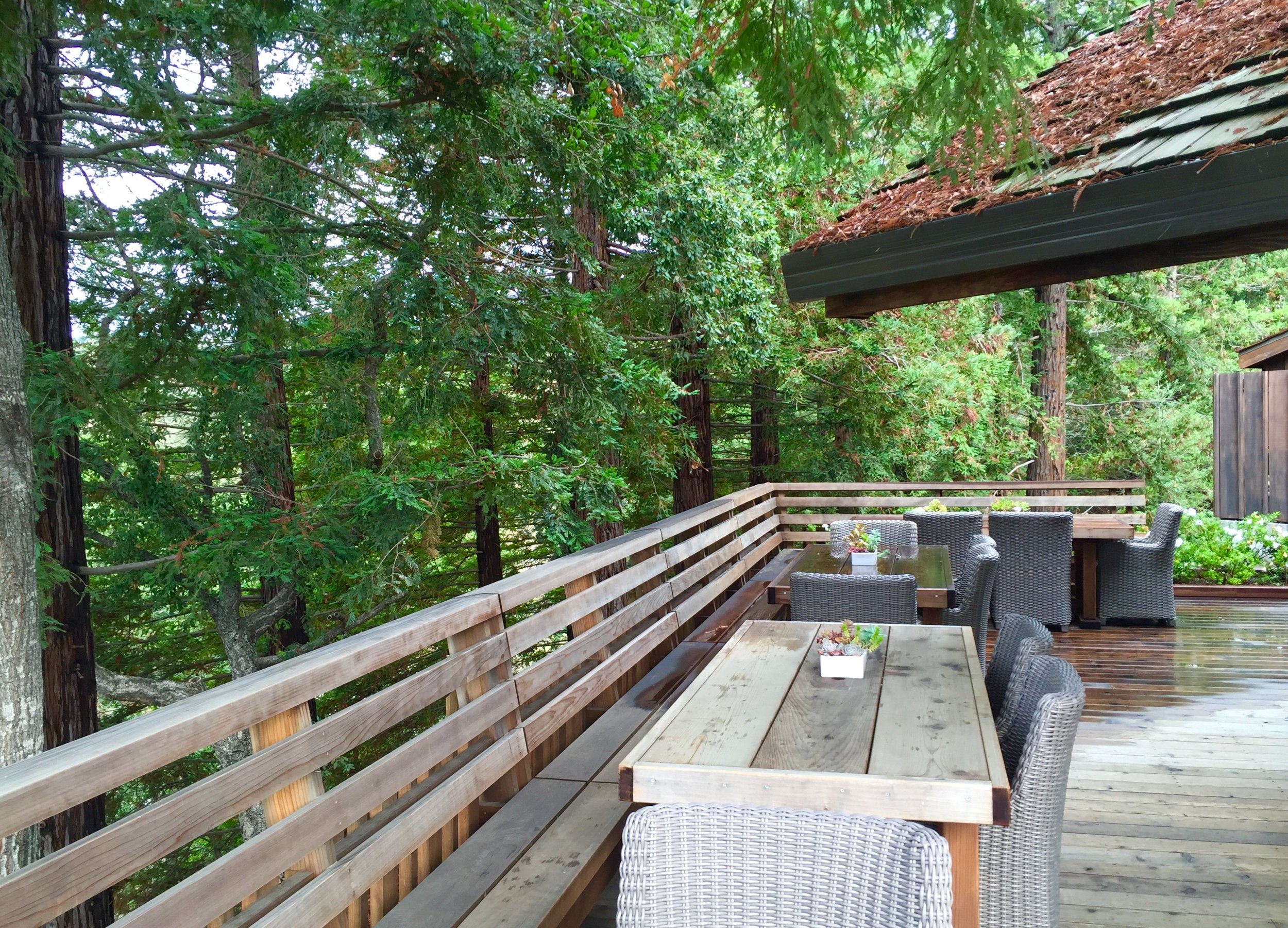 Side deck off the tasting room. It felt like you were in a tree house!