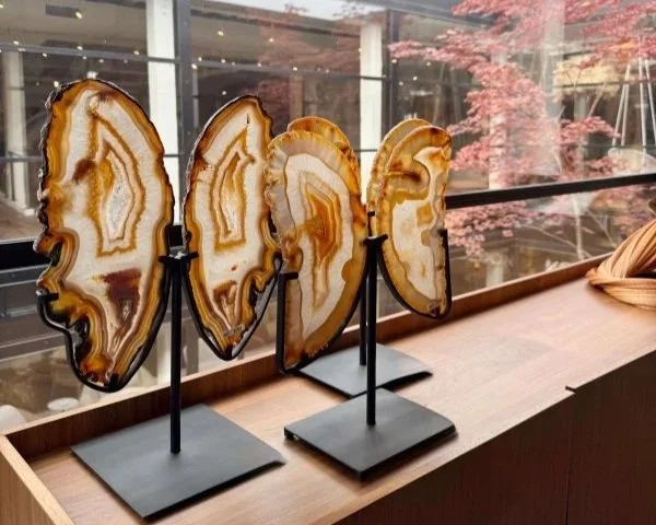 Tasteful Animal Inspired Decor For Your Home 