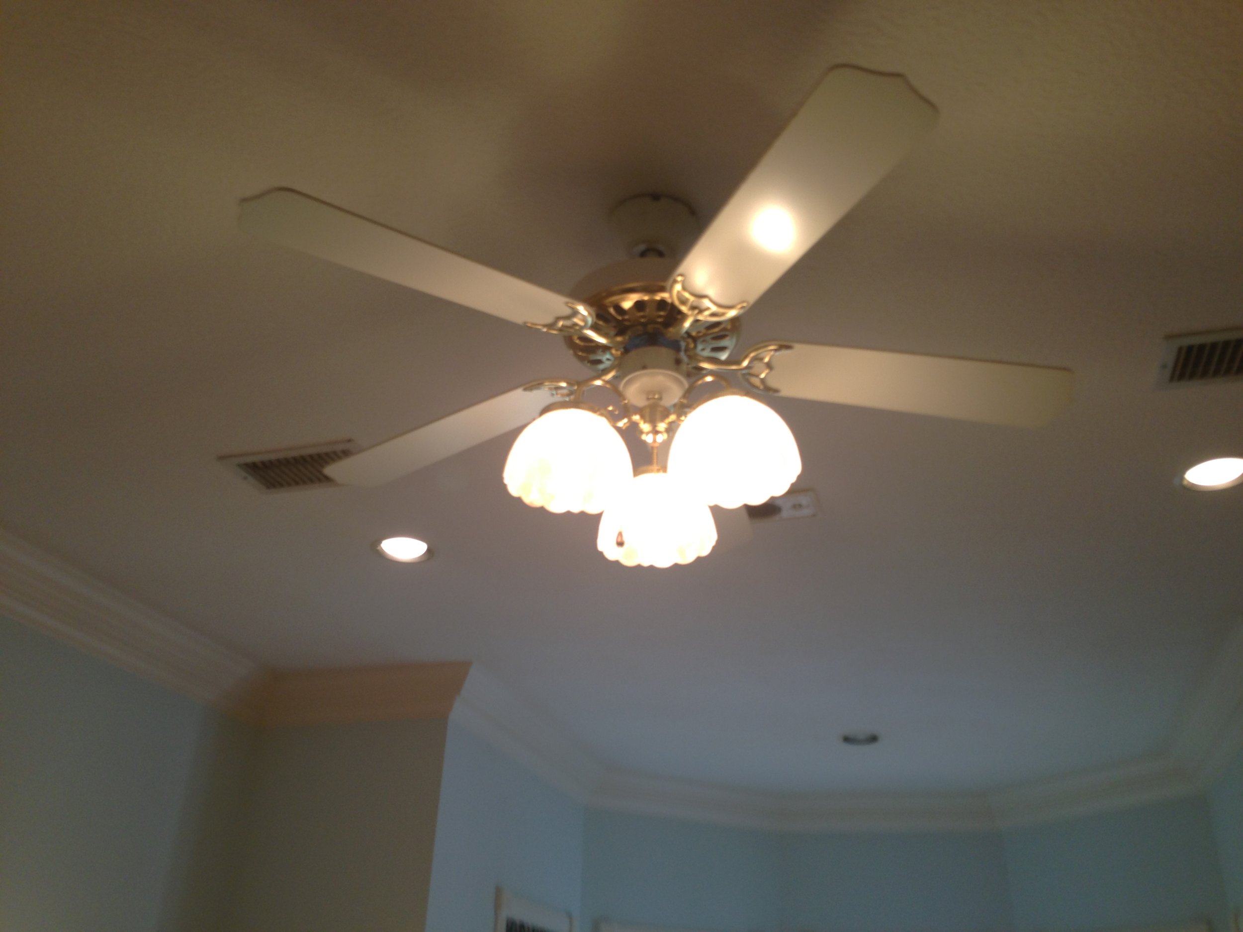 In A World Of Dull Ceiling Fans These