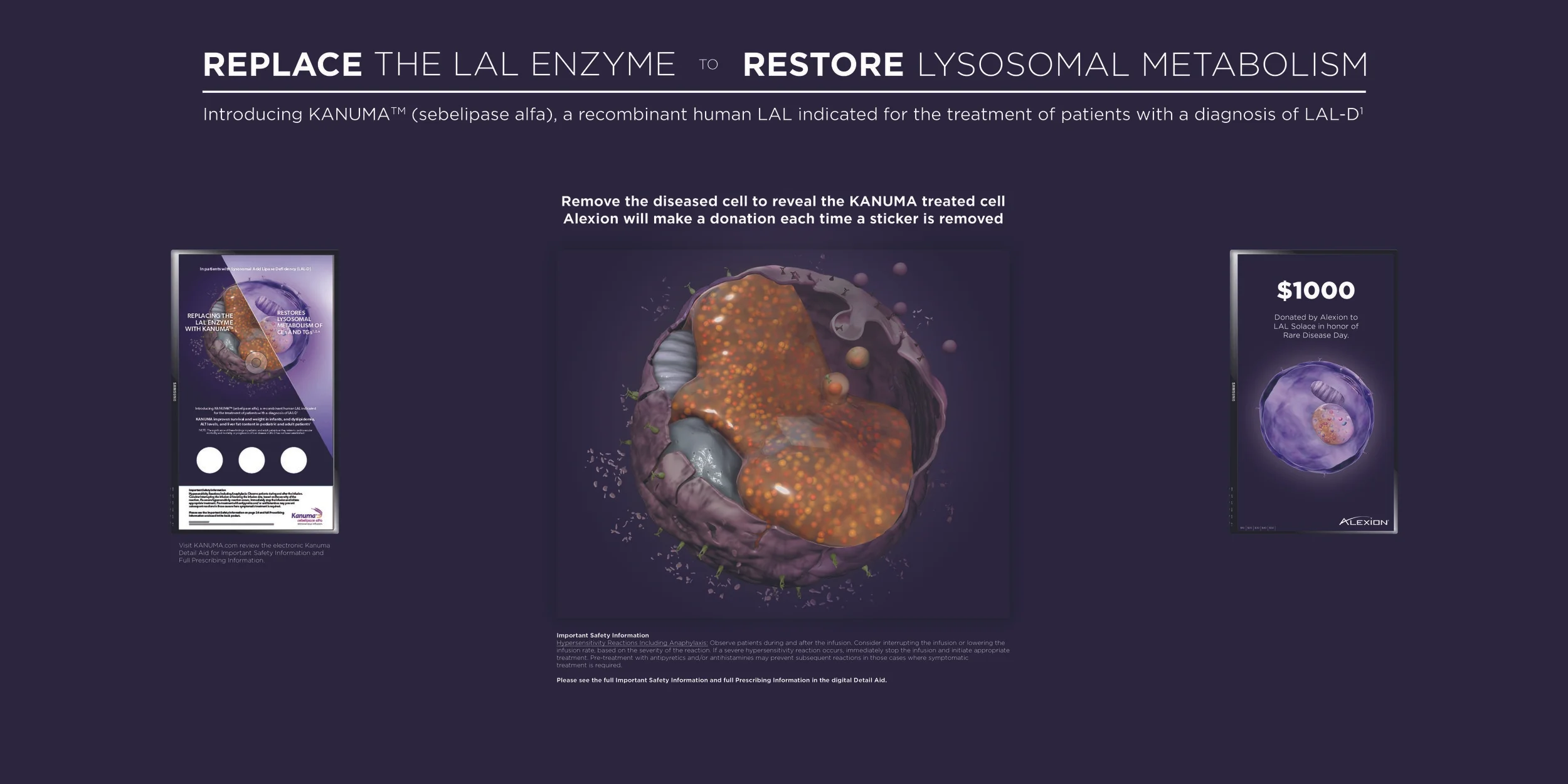 Sticker wall low res mock_v1.jpg