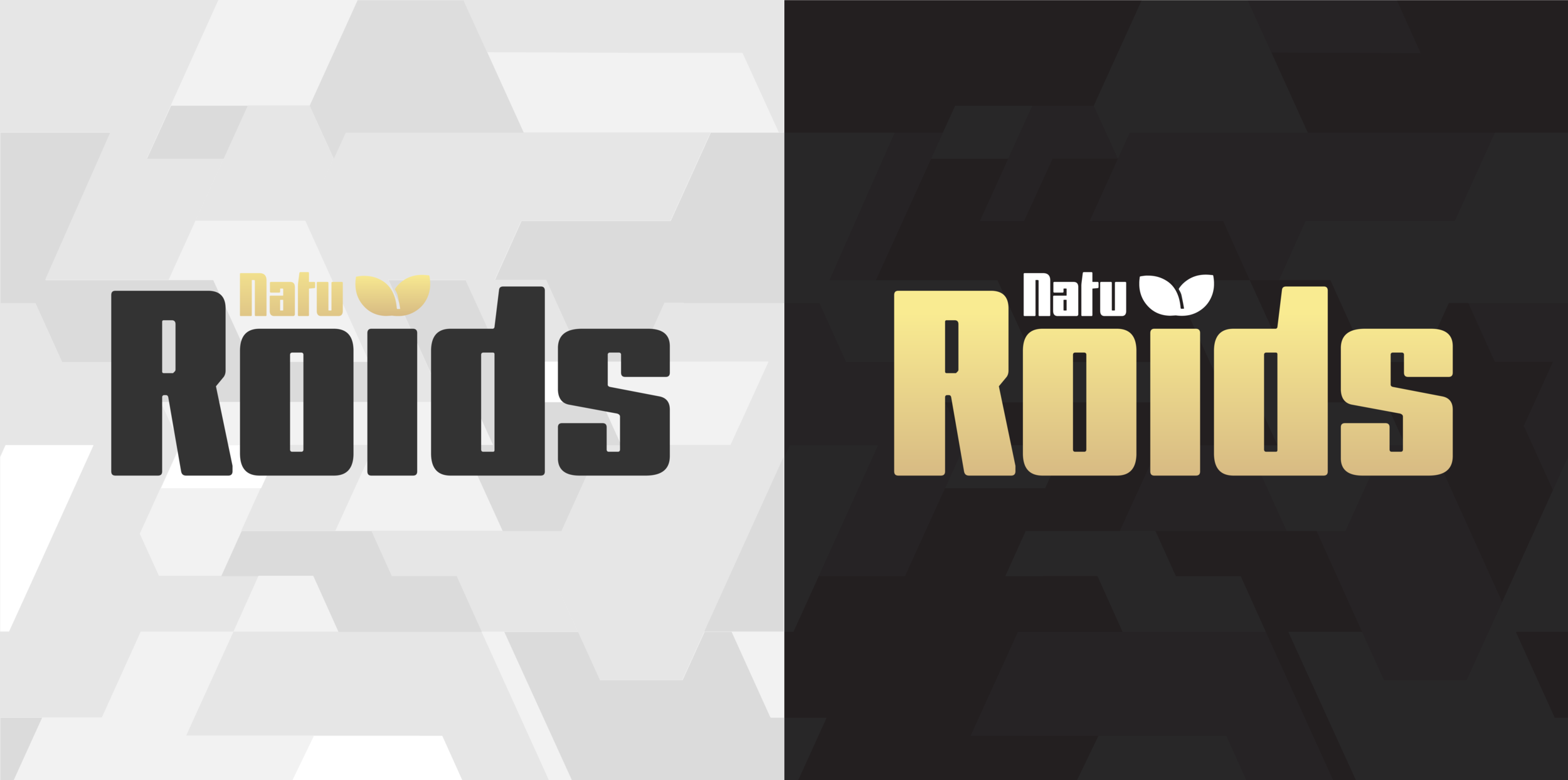 NAT-20-002 Logo r3v1-06.png