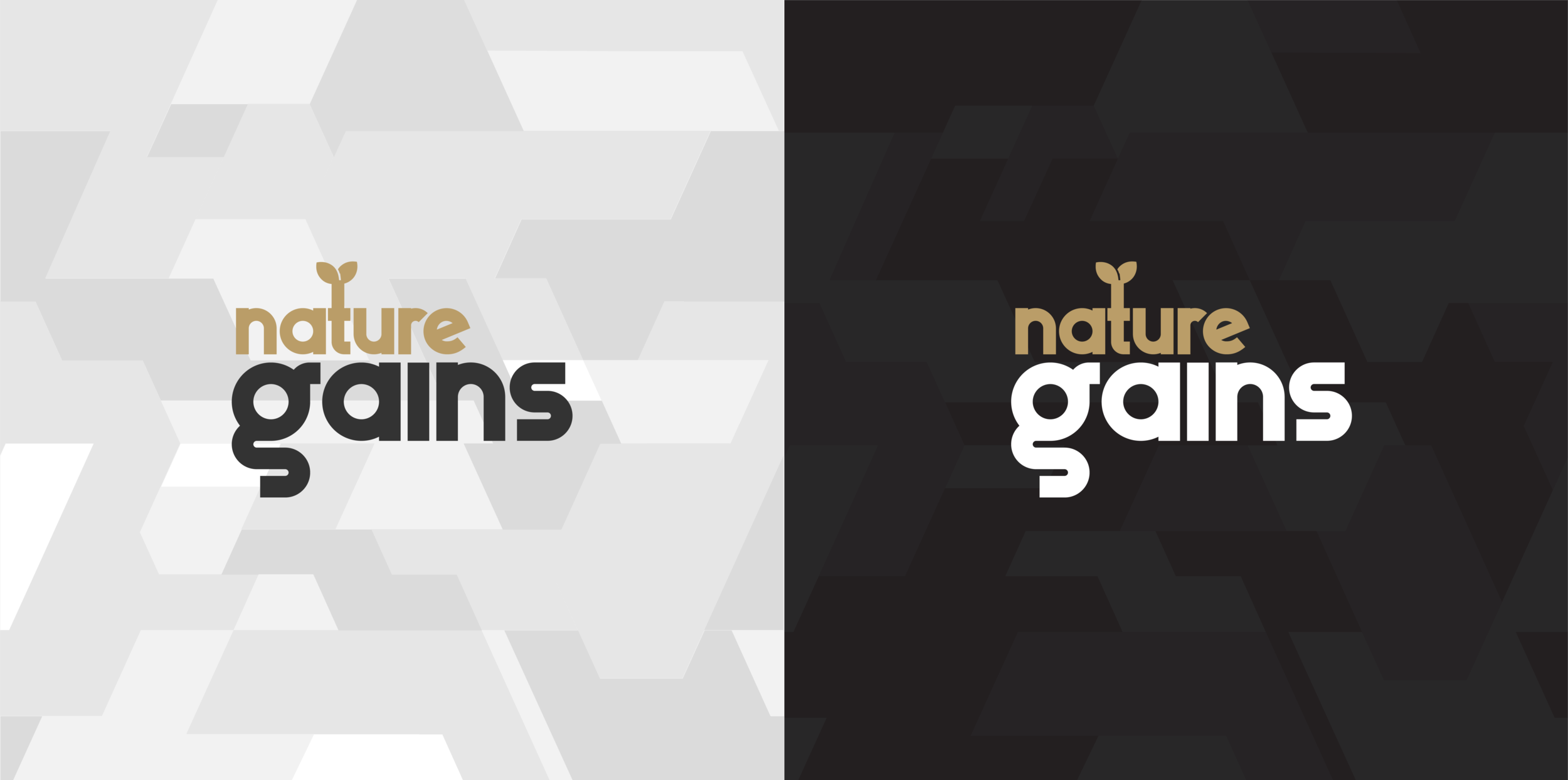 NAT-20-002 Logo r1v3-01.png