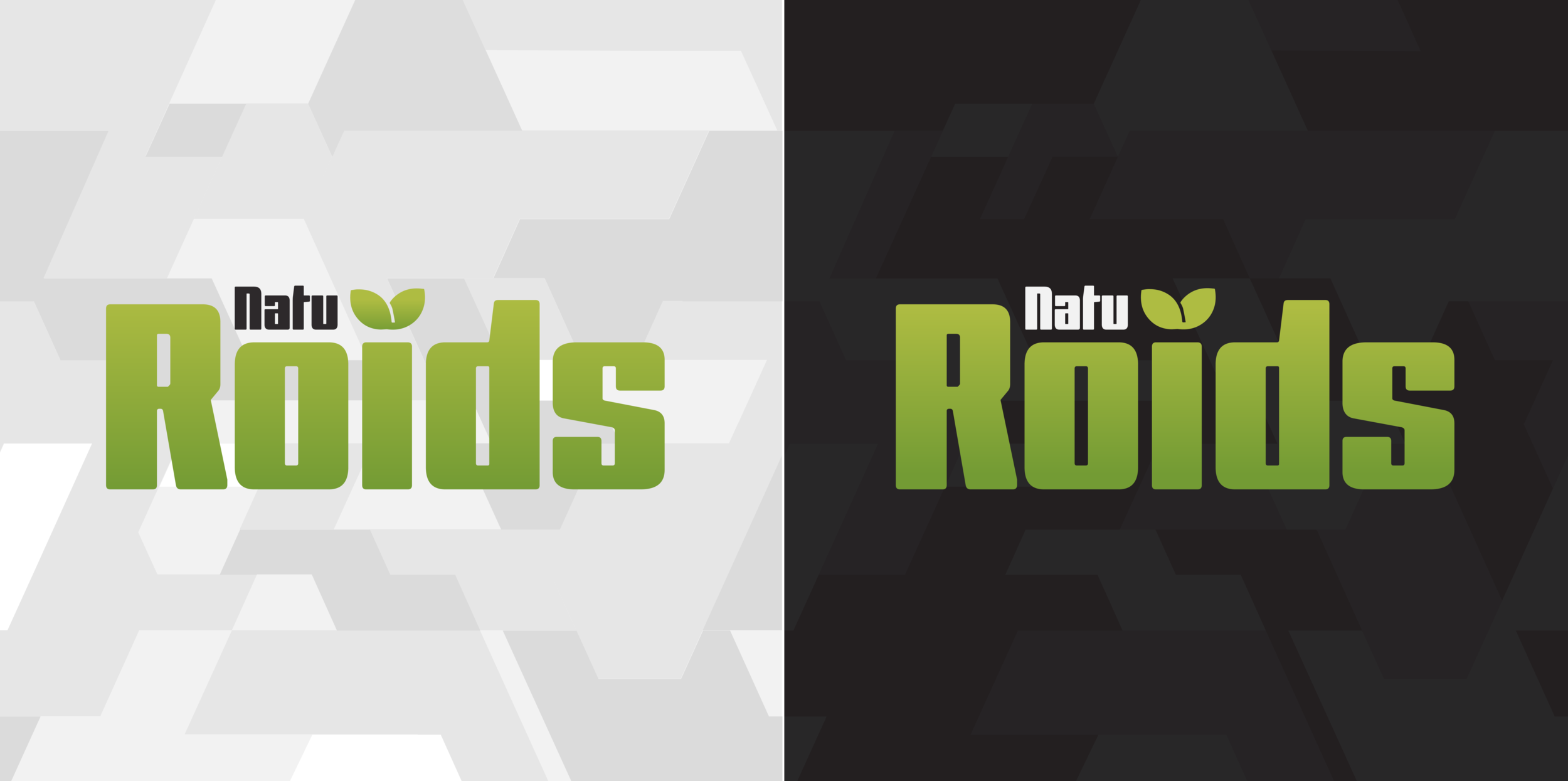 NAT-20-002 Logo r3v1-05.png