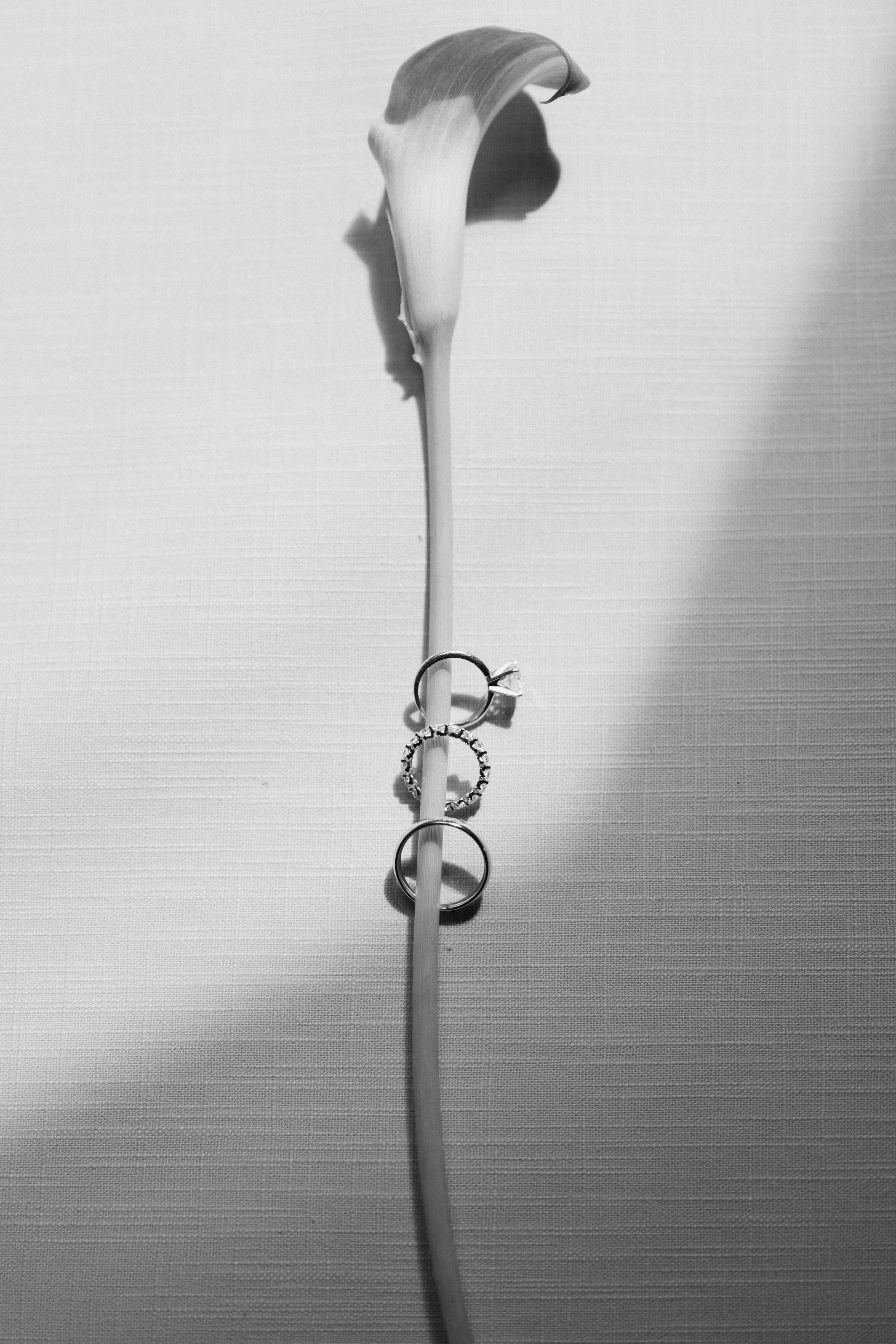 L1530142.jpg