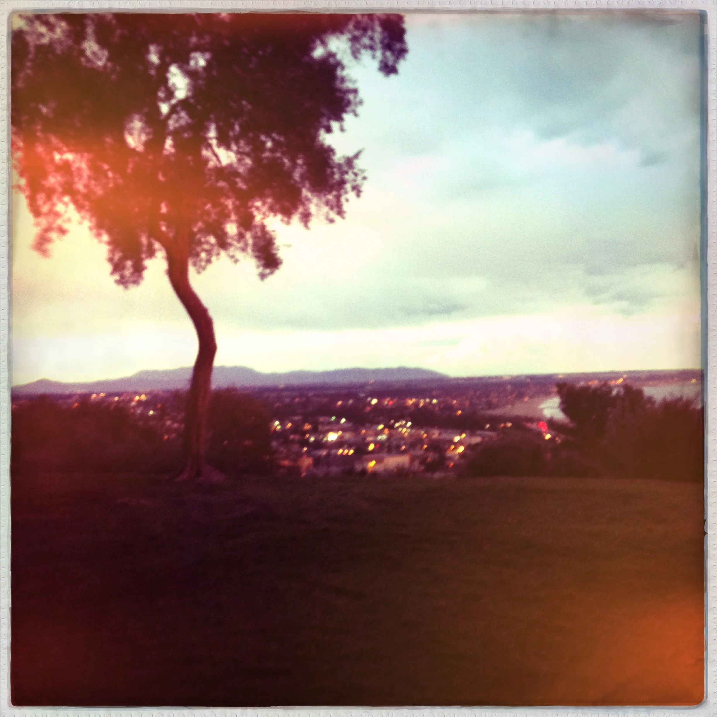 From the series: Beautiful Ventura