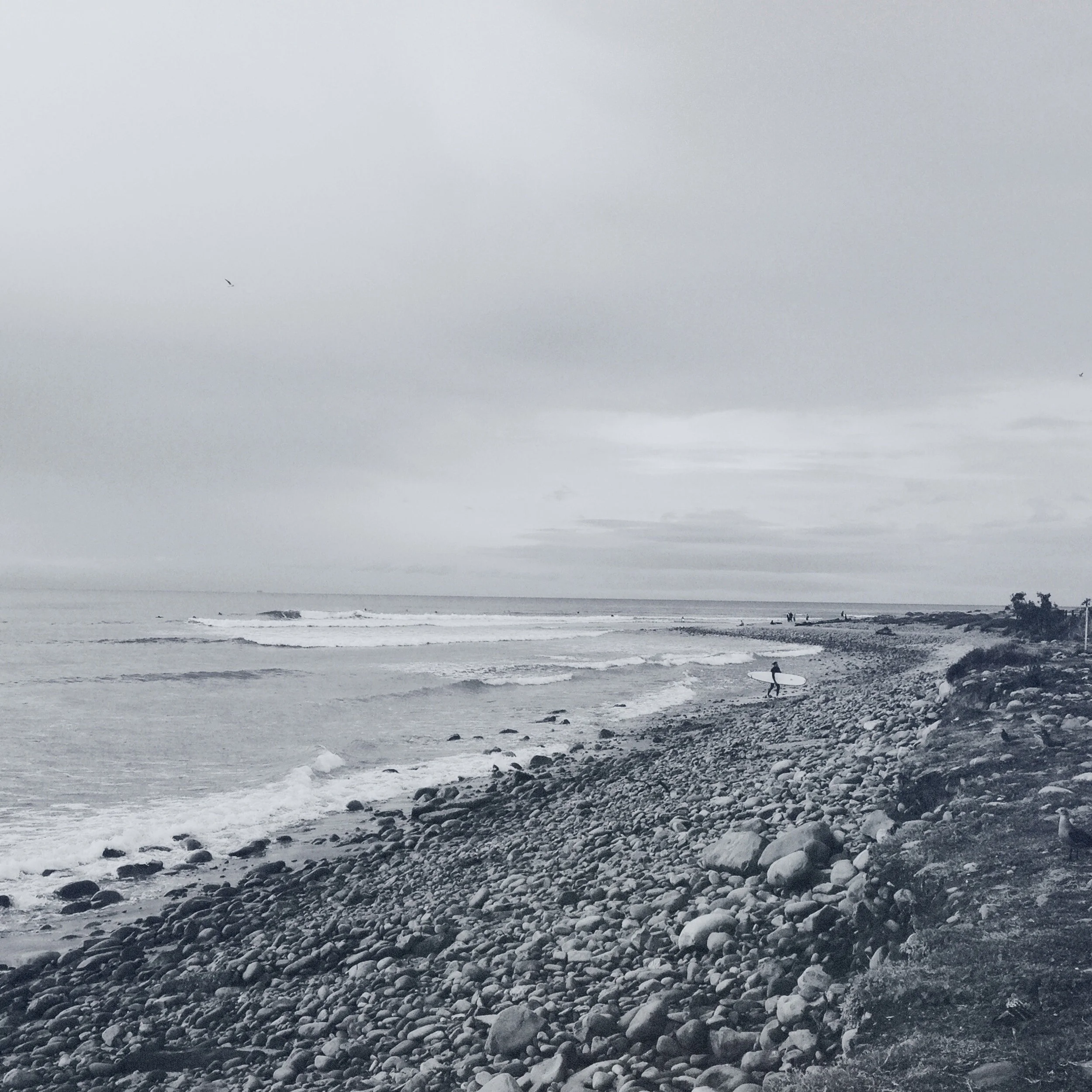 From the series: Beautiful Ventura