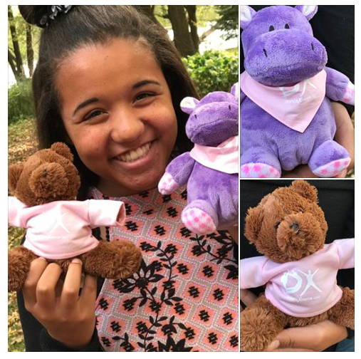 3D Merch - Stuffed Animals Collage.png