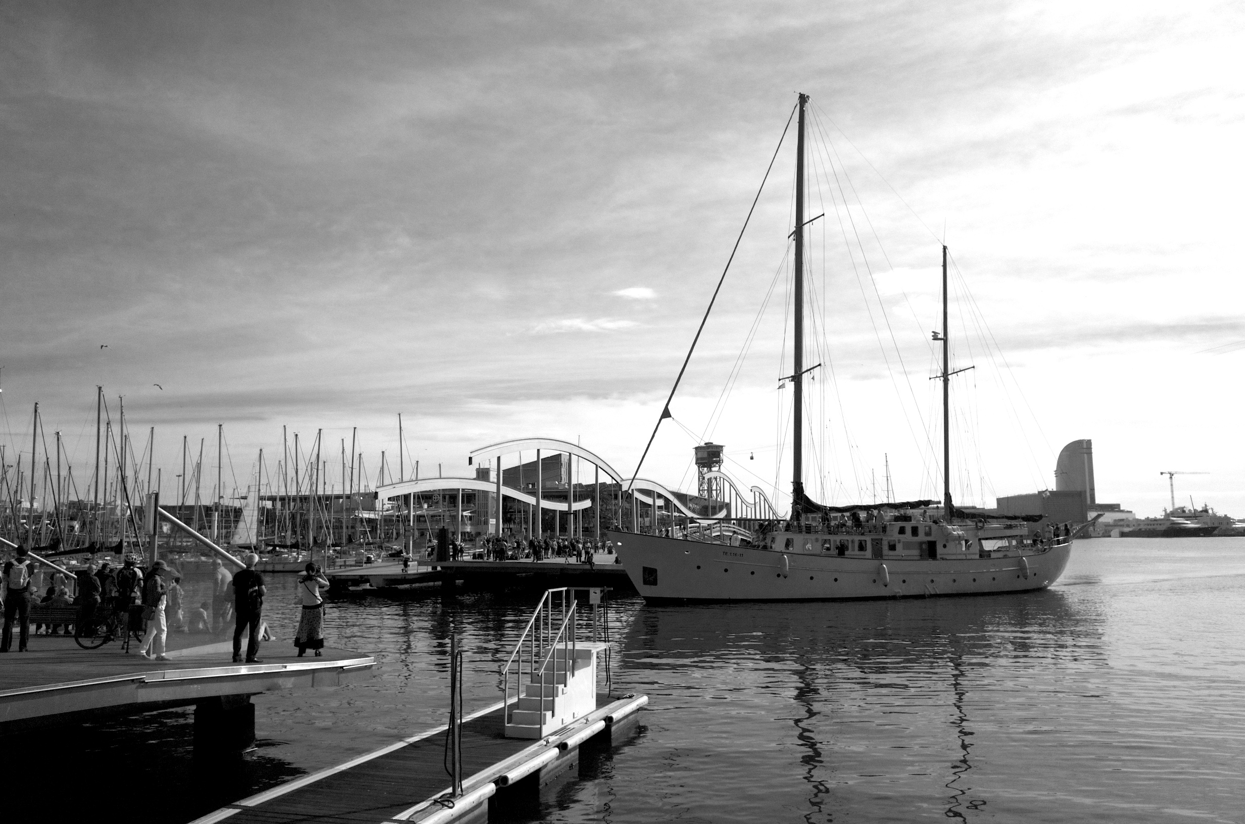 2013-10-23 at 12-30-24.jpg