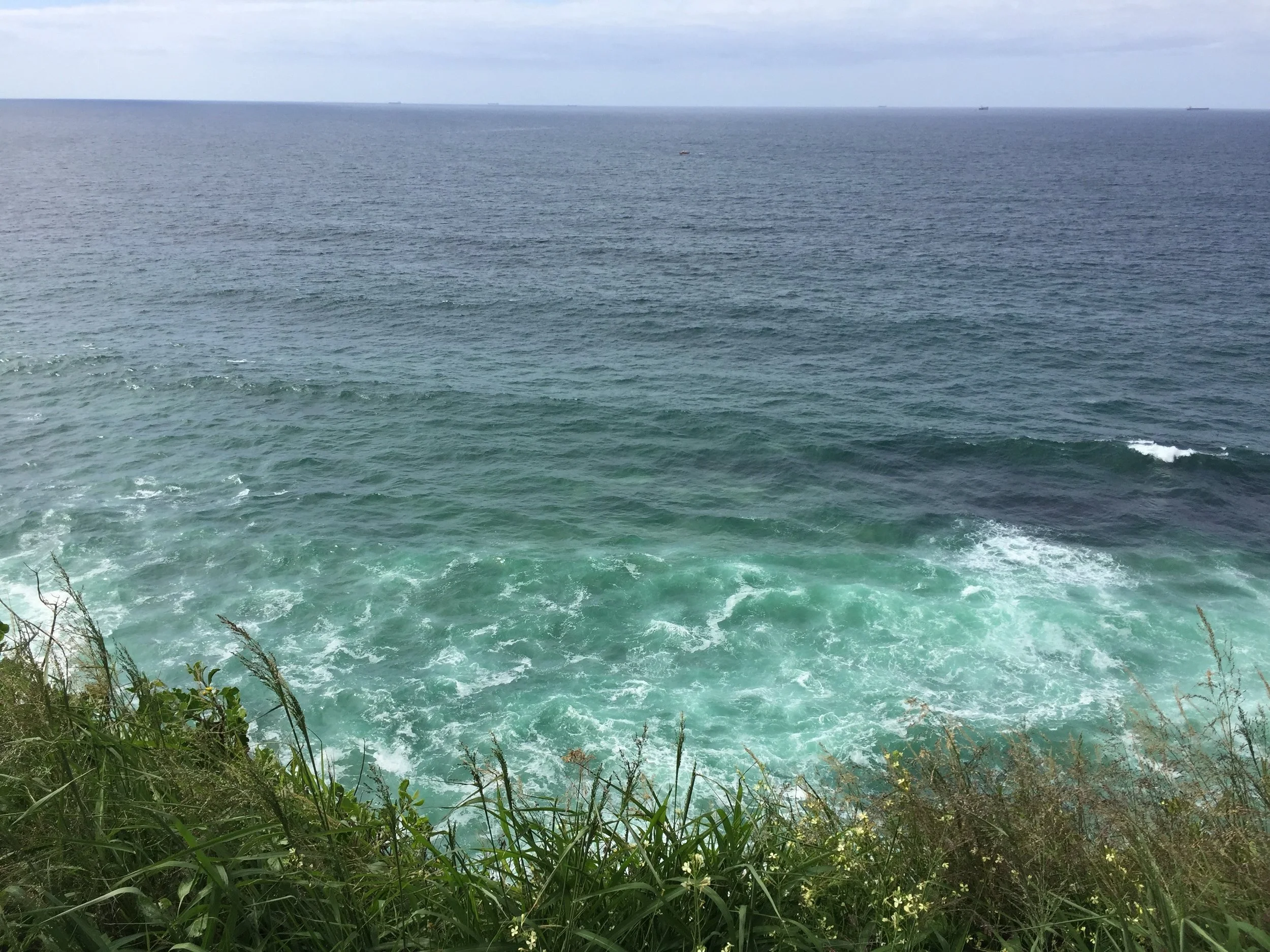 IMG_0311.jpeg