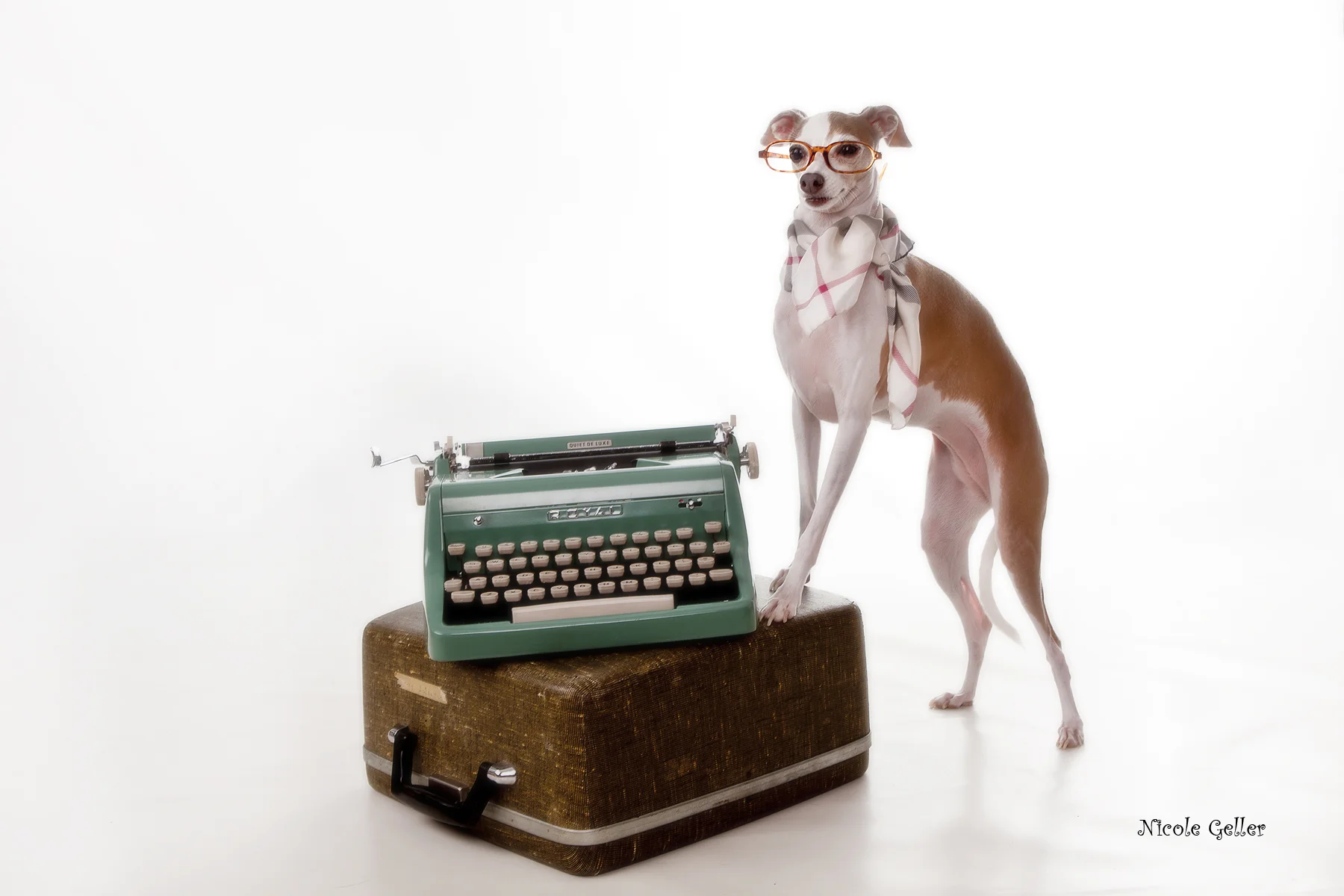 Nicole Geller Photography