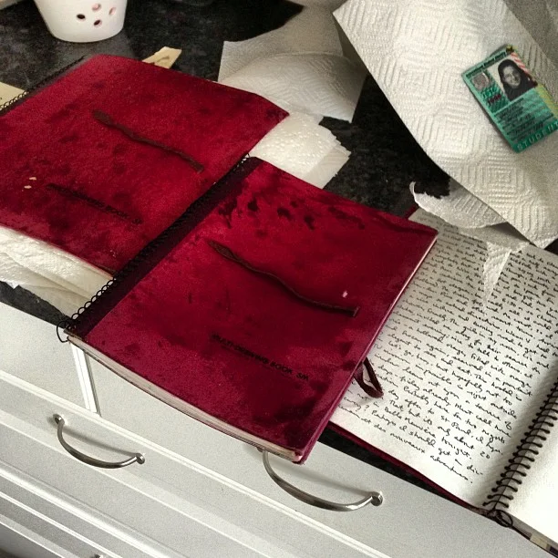 Alas, this hurt to see. My sketchbooks from 1996-1999 back when I used to handwrite and sketch and travel solo. Thanks for your advice, I'm attempting to dry them out. A little crinkle will just add to the romance of them, right?