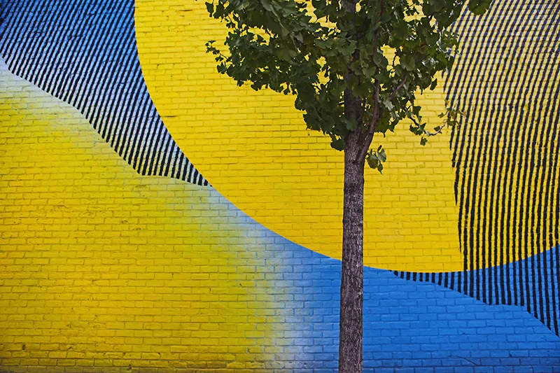 street-tree.jpg