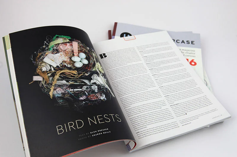 16-birdsnests.jpg