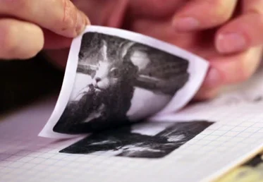 IMAGE TRANSFERS Courtney Cerruti