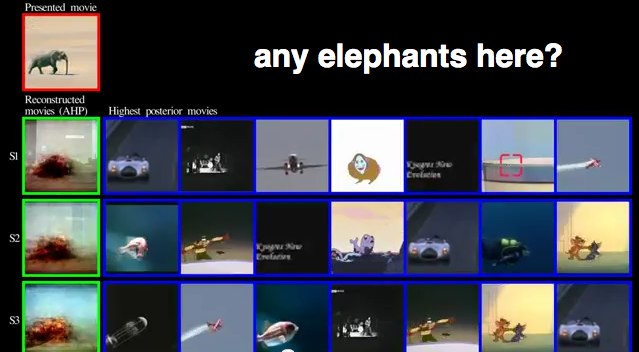 any elephants here?