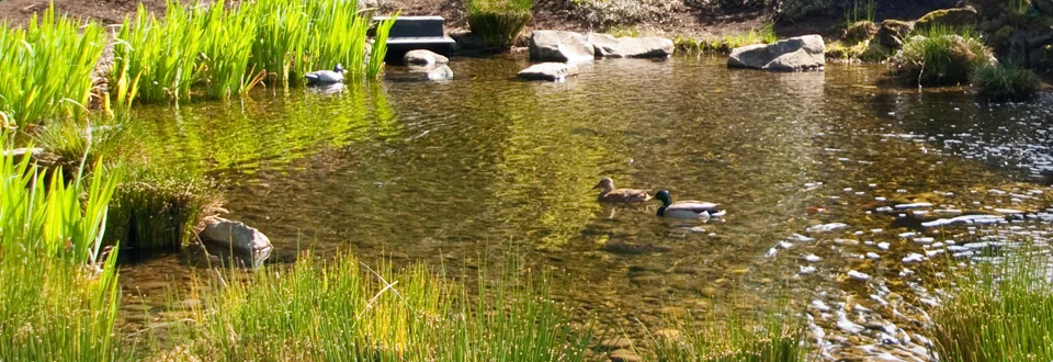 Nine Month SEEL Retreat