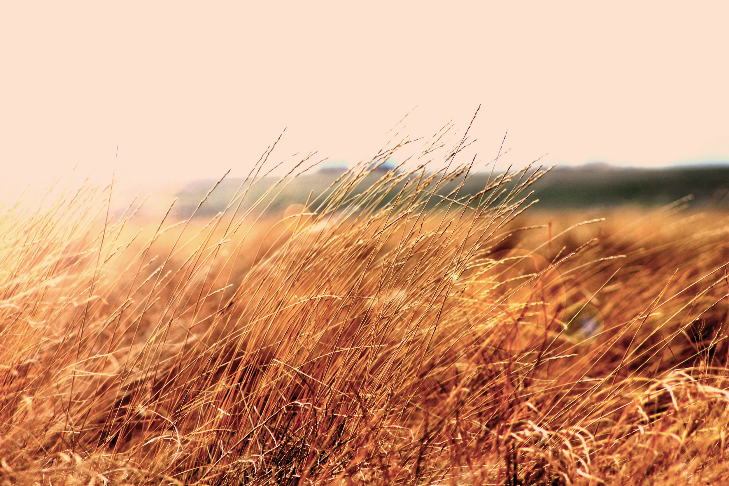 3/24: Top 10 Financial Mistakes Churches Make Webinar