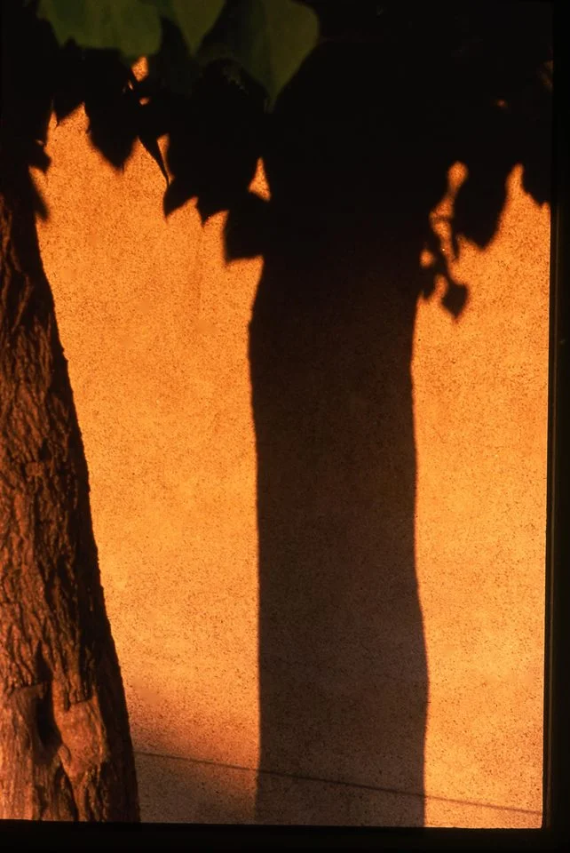 11/14: "Isn't This Enough?" Poetry and Photo Exhibit