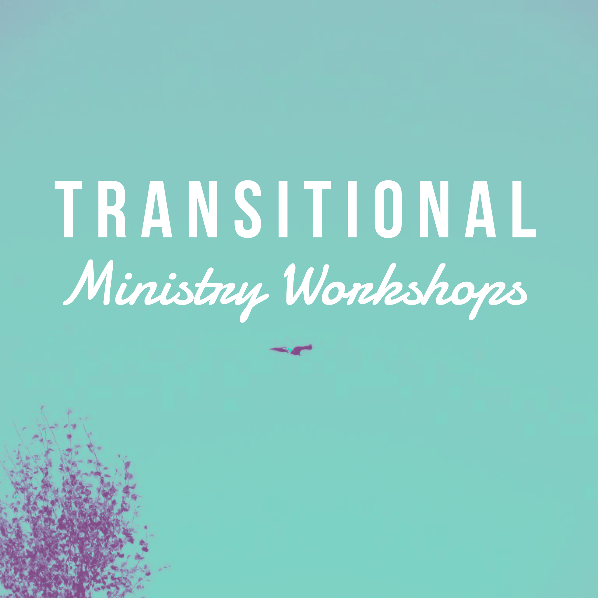 3/5-8: Transitional Ministry Workshops @ Menucha 