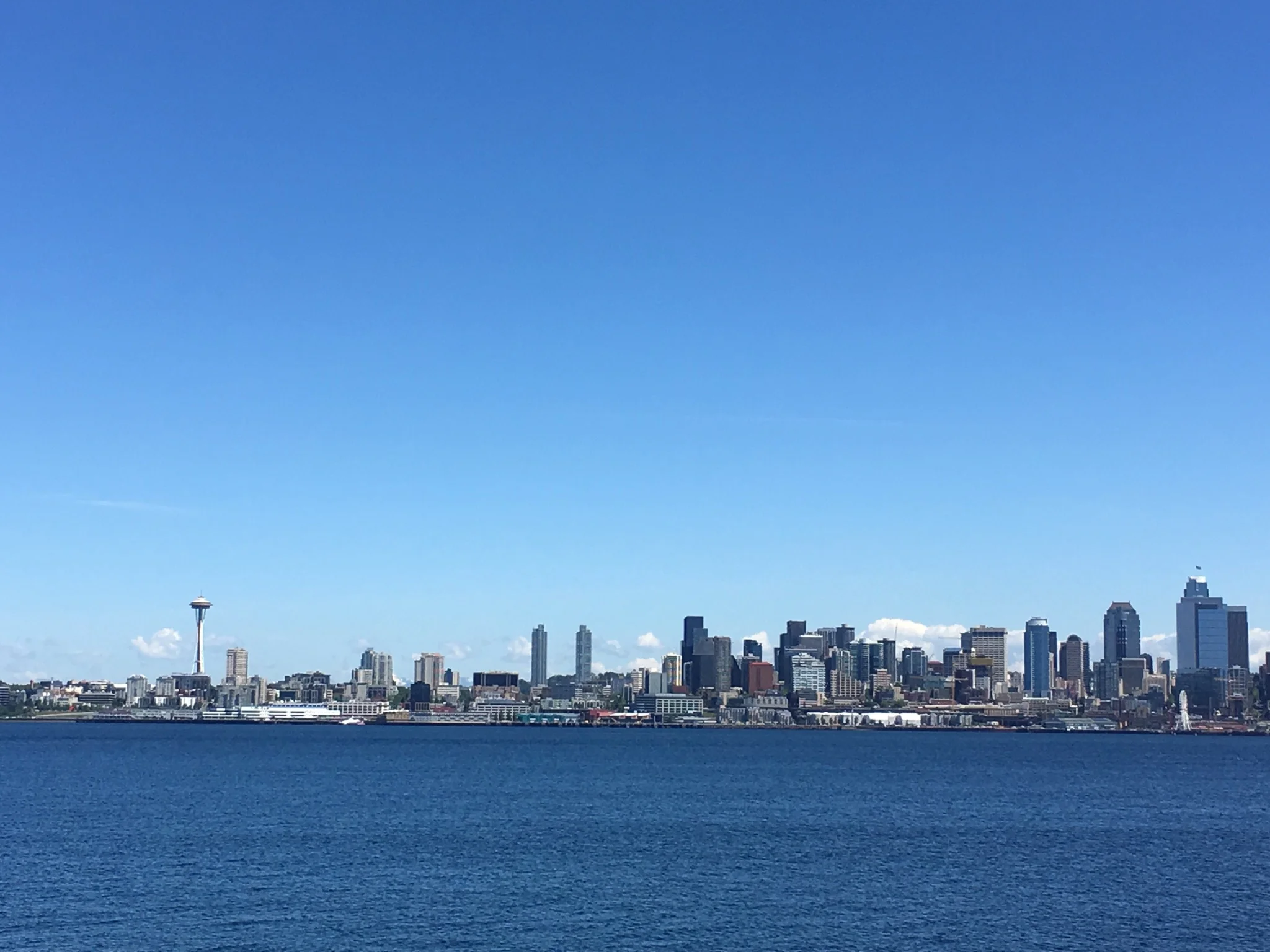 SeaPres Update: From Scott Lumsden &amp; Eliana Maxim